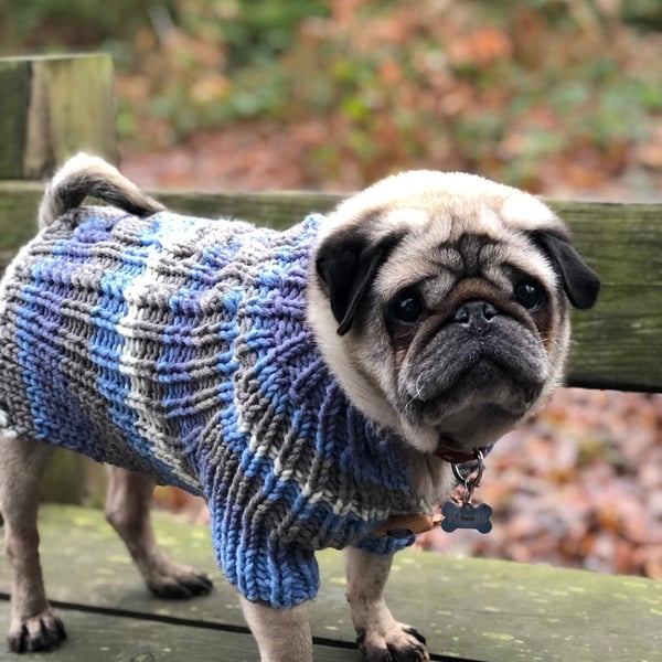 Knitted dog coat