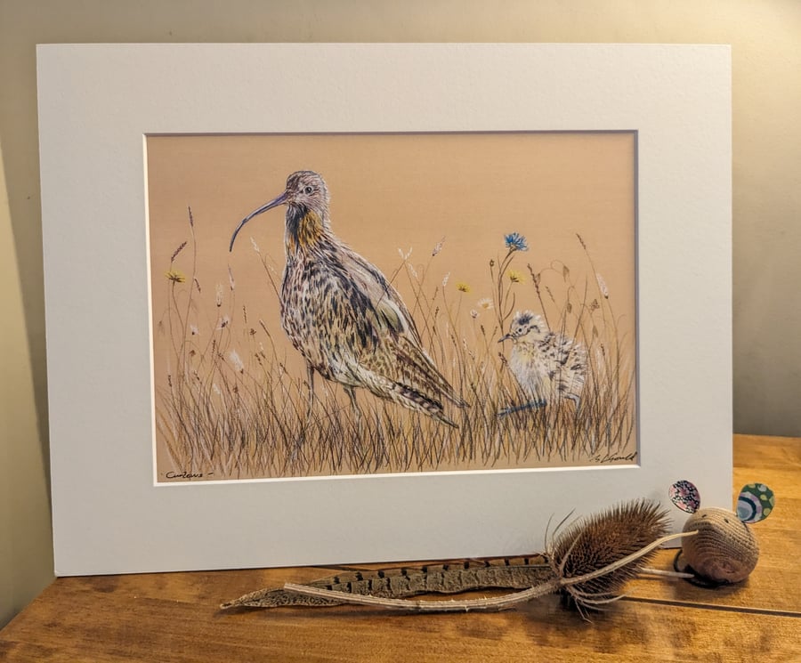 Curlews, an A4 or A3 mounted signed print.