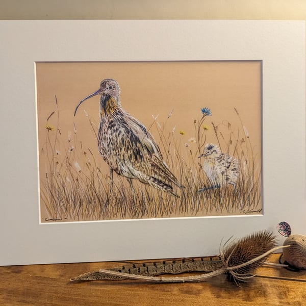 Curlews, an A4 or A3 mounted signed print.