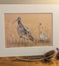 Curlews, an A4 or A3 mounted signed print. - Image 1