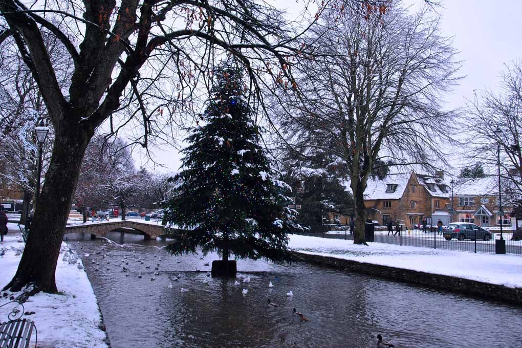 Bourton On The Water Christmas Tree Photograph Print