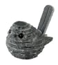Slate Wren  - Image 1