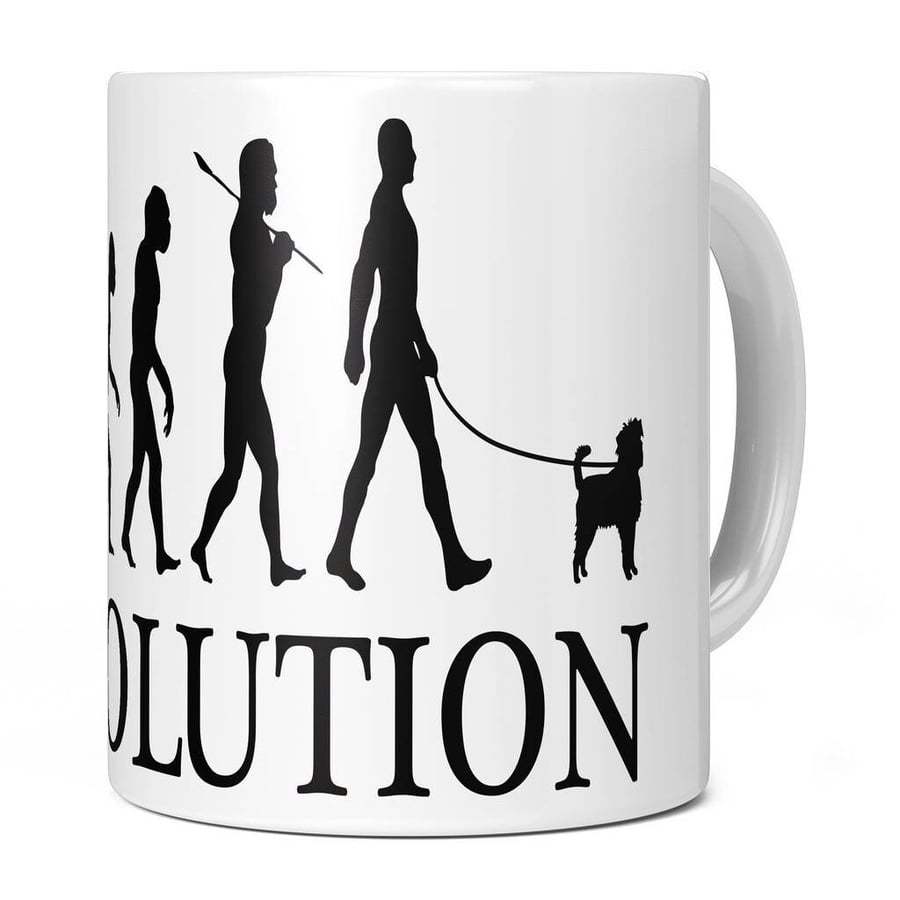 Affenpinscher Evolution 11oz Coffee Mug Cup - Perfect Birthday Gift for Him or H