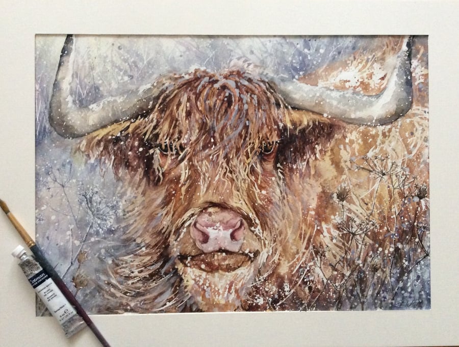 Original watercolour painting of Highland Cow