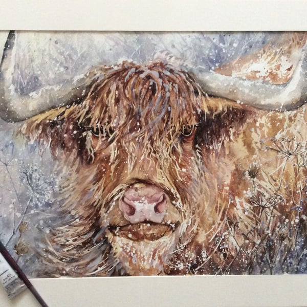 Original watercolour painting of Highland Cow