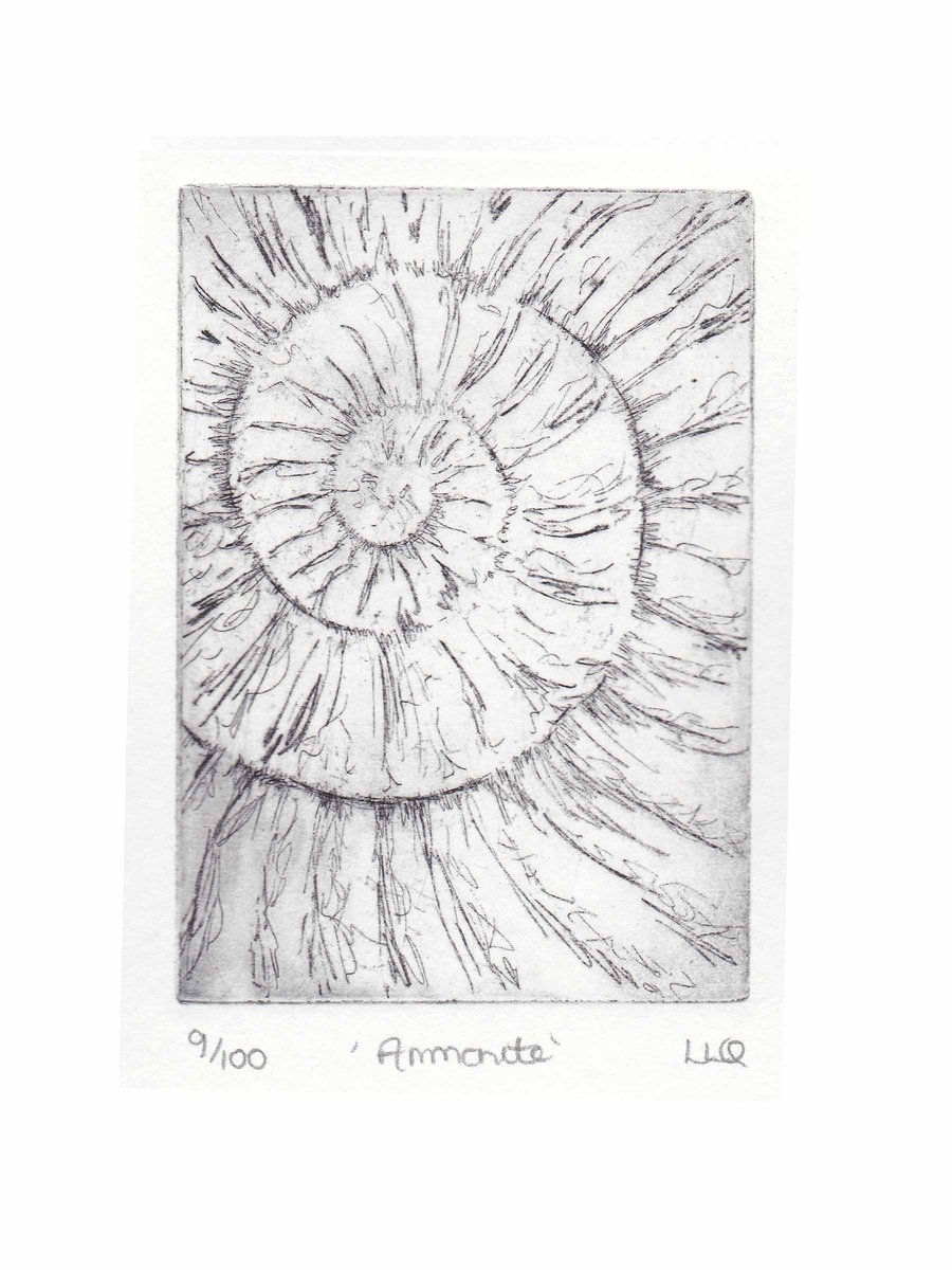 Etching no.9 of an ammonite fossil in an edition of 100