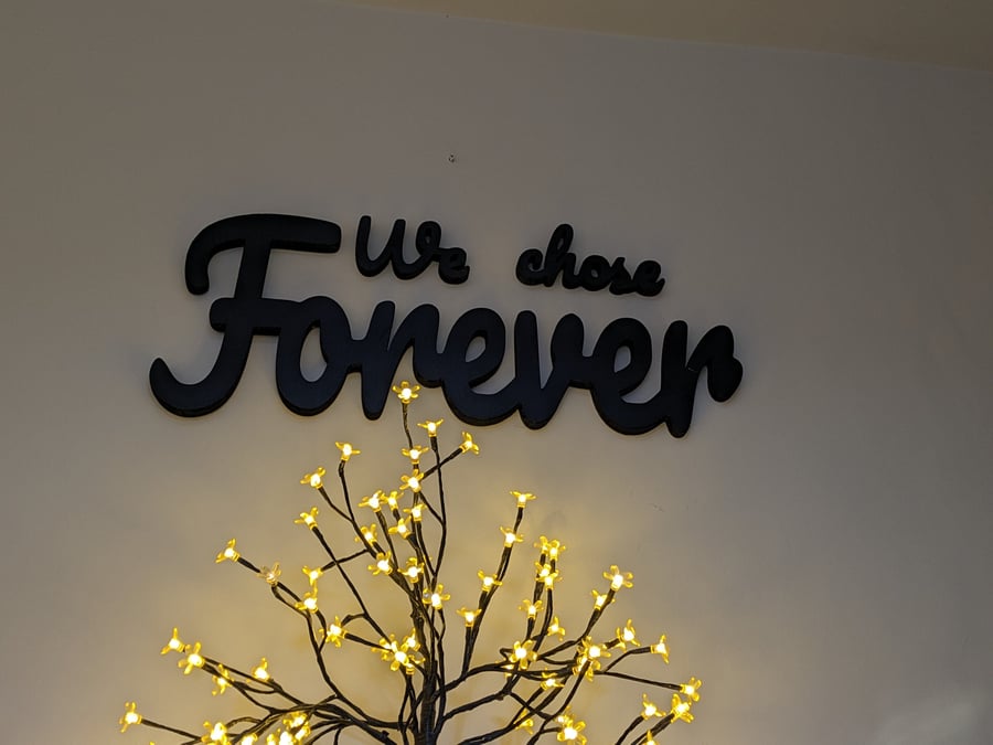 Custom Size Wall Decor Lettering WE CHOSE FOREVER Mdf Letters Personalised