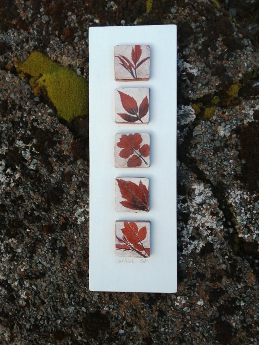 Patterns in Nature, Old Rose and Ground Elder