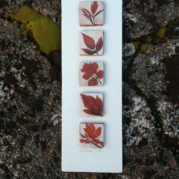 Patterns in Nature, Old Rose and Ground Elder