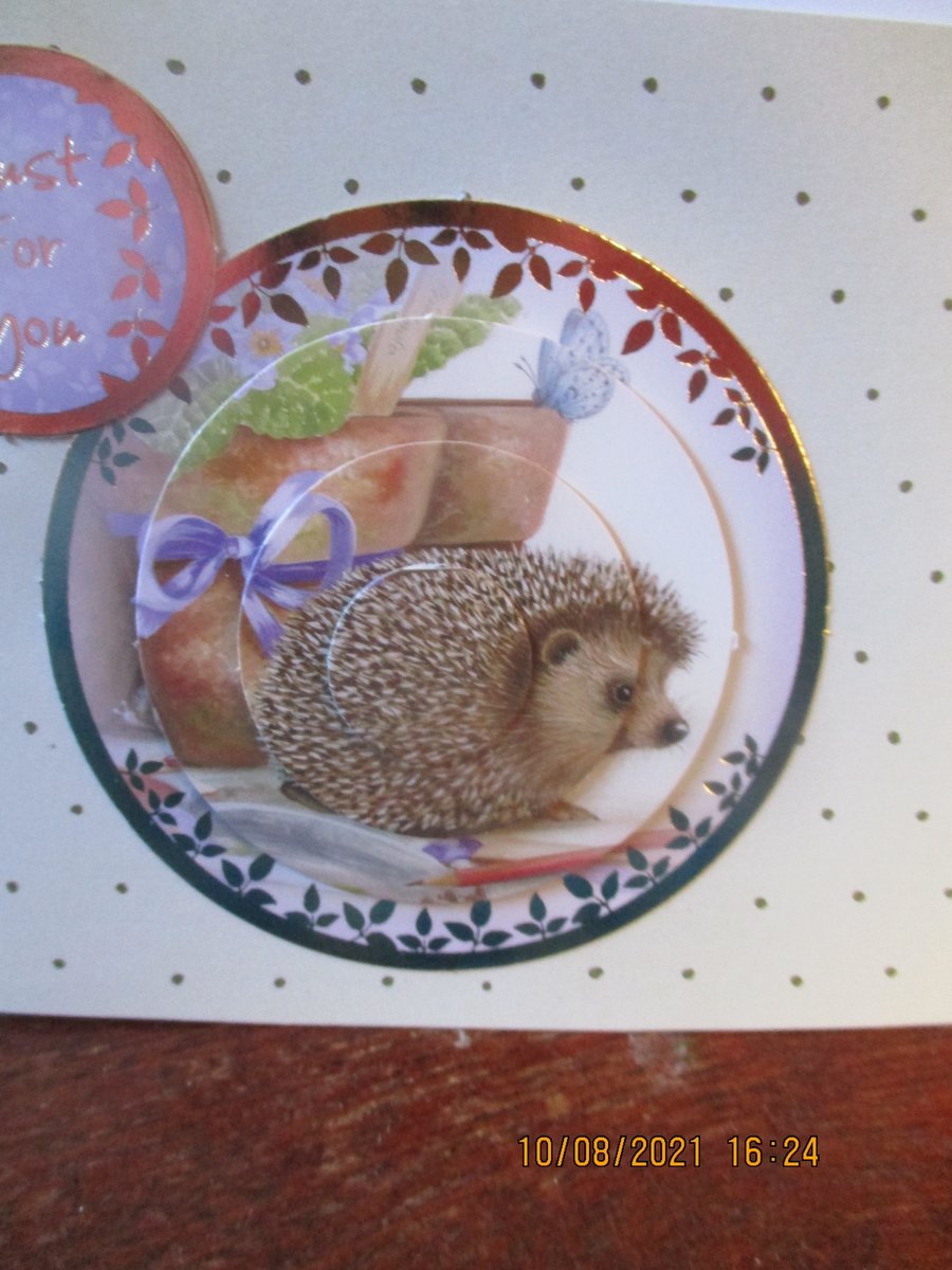 Just for You Hedgehog Card