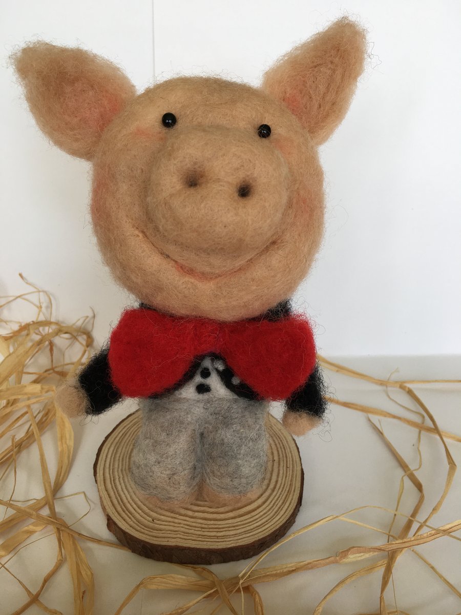 A smart dressed pig