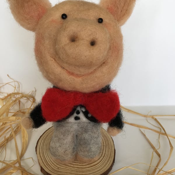  A smart dressed pig