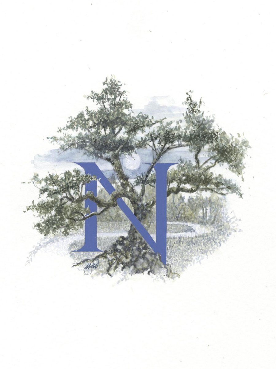 Illustrated letter 'N'