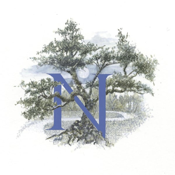 Illustrated letter 'N'