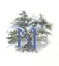 Illustrated letter 'N' - Image 1