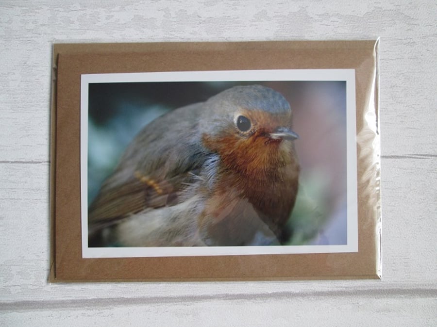 Robin Photo Greetings Card, Christmas Card