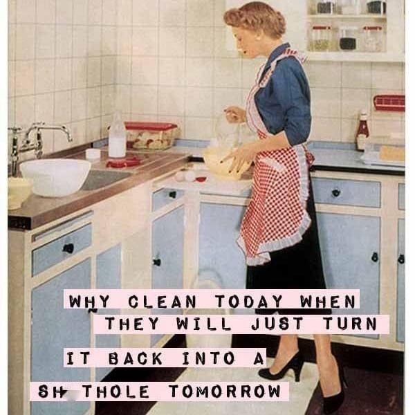 Why Clean Today? Vintage Humour Blank Greeting Card For The Overworked Mother