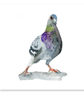 Dancing Pigeon greeting card (blank)