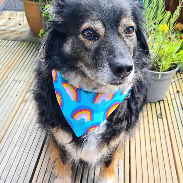 Scrunchie Dog or Cat Bandana - "Rainbow Joy", Easy Over the Head 