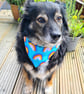 Scrunchie Dog or Cat Bandana - "Rainbow Joy", Easy Over the Head 