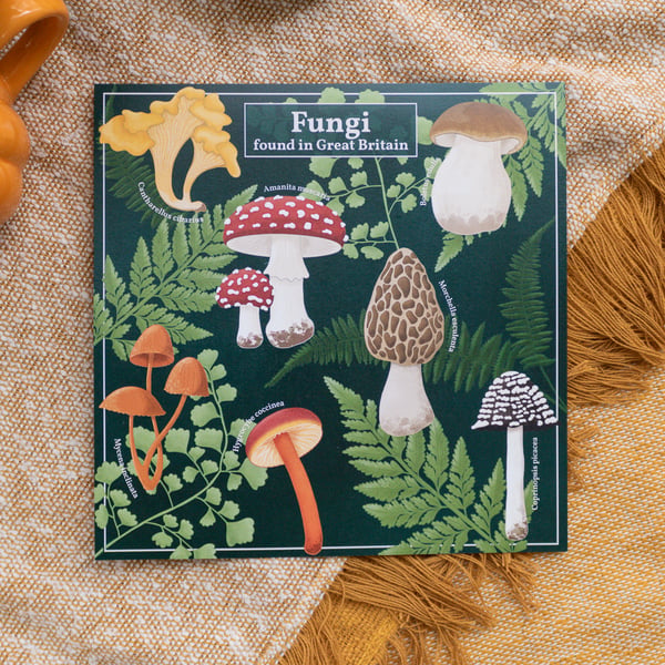 Mushroom Wall Art: Fungi found in Great Britain