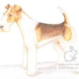 Bob the Fox Terrier - Blank Card