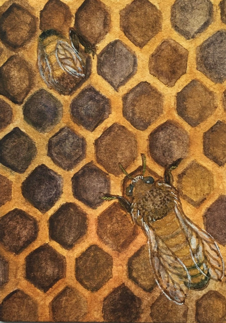 Bees on honeycomb Aceo 