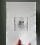 Koala Mother And Baby Etching - Image 4