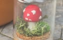 Polymer Clay Makes