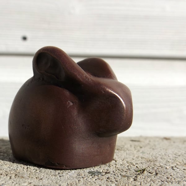 The Rabbit - A Totem Animal