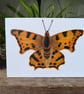 Original Comma Butterfly Acrylic Painting  - Image 1