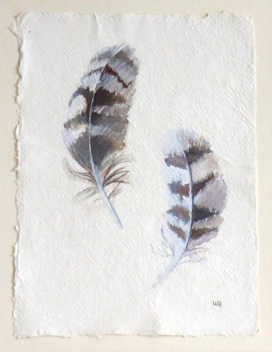 Seconds sunday sale original watercolour feathers painting 