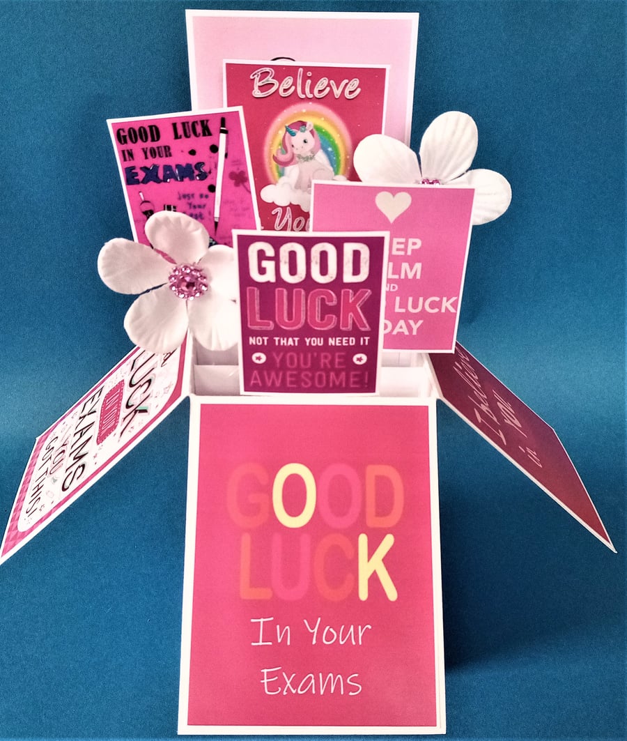 Girls Good Luck In Your Exam Card