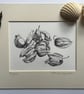 Physalis drawing Cape gooseberry Goldenberry - Image 3