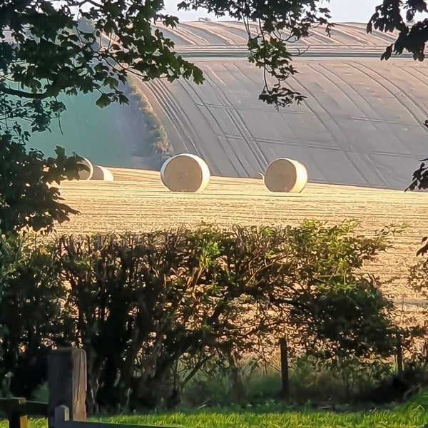 Harvest Time at Lincolnshire Wolds