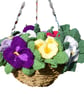 Knitting Pattern for Pansy Hanging Basket.  Digital Pattern - Image 1