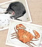 12 Printed Constellation Notecards, astrological symbols - Image 4