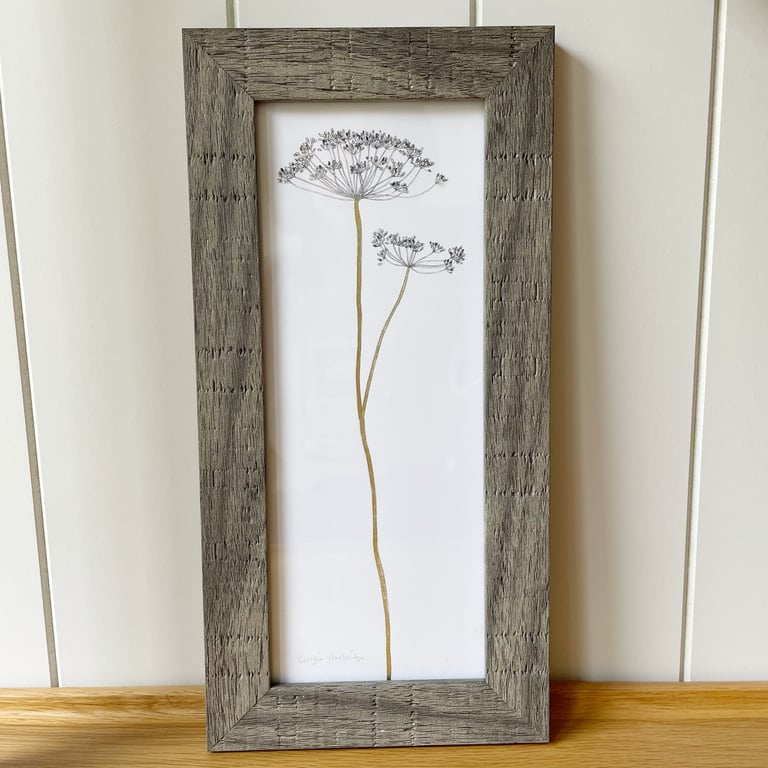 'Dill' 10" x 4" Framed Print