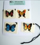 Butterfly Gift Tags ( Pack of Four) - Image 4