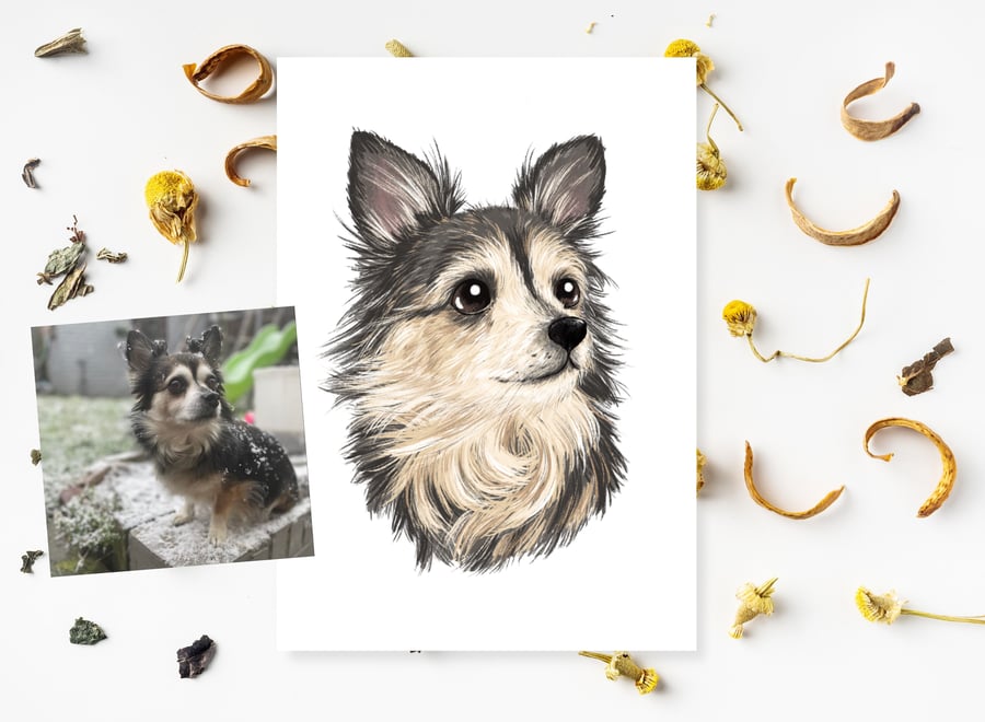 Personalised Pet Portraits - Signed A5 or A4 Print