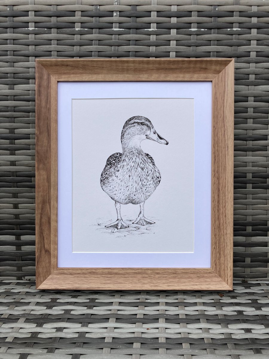 A4 Duck Pen and Ink drawing Original