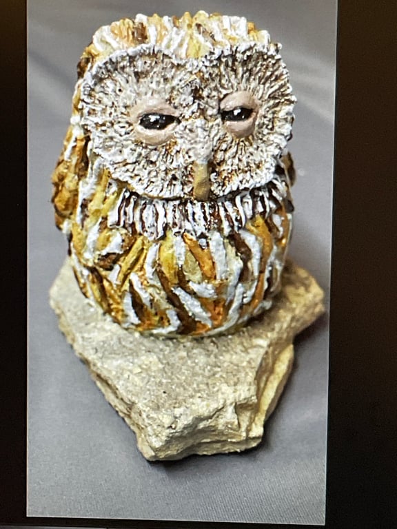 Small Owl