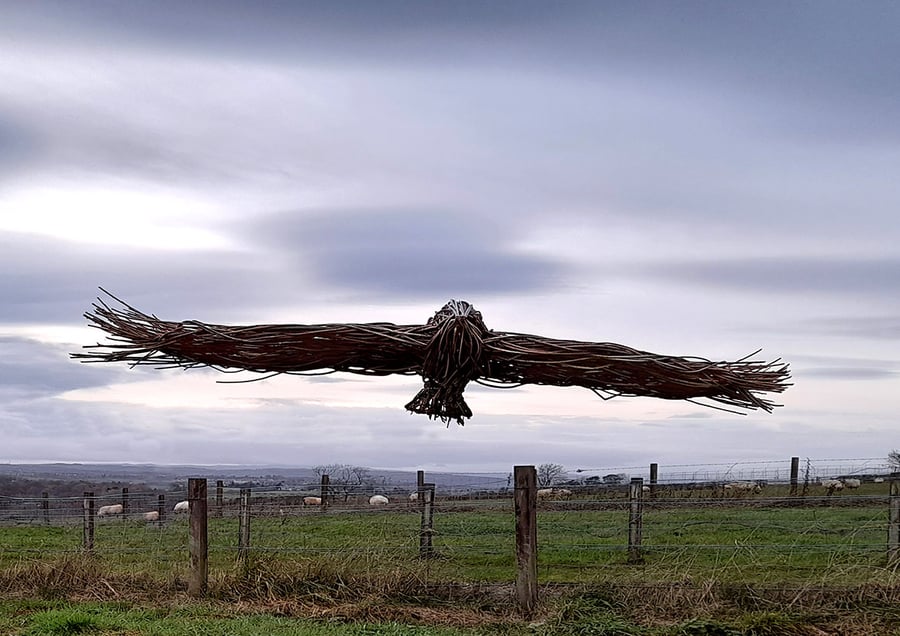 A4 Print 'Buzzard'