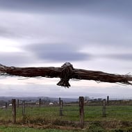 A4 Print 'Buzzard'