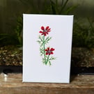 Pheasant's Eye Wildflower Acrylic Painting 
