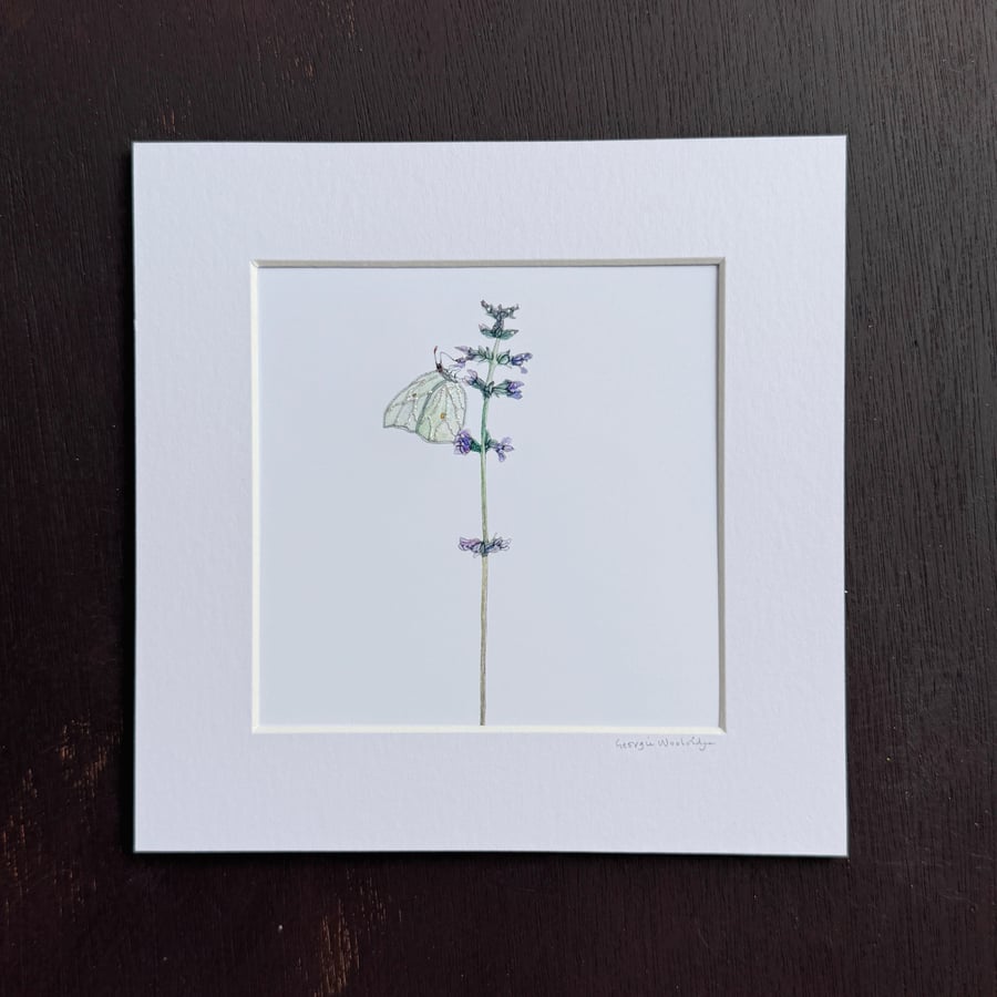 'Green Butterfly' 8" x 8" Mounted Print