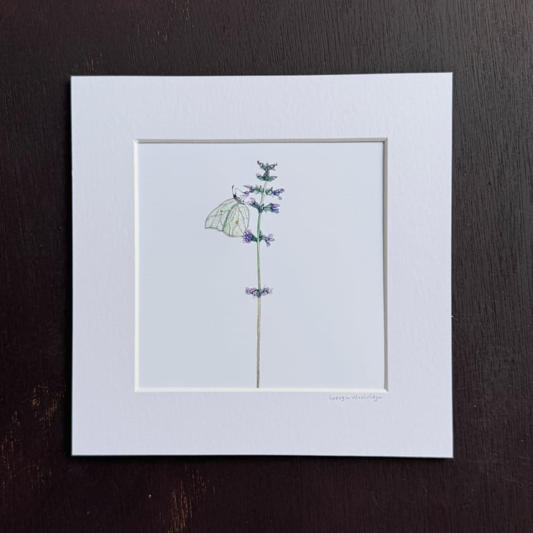 'Green Butterfly' 8" x 8" Mounted Print