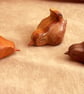 carved wooden wren in a choice of 3 beautiful woods