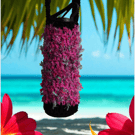 Hand Crochet Water Bottle Holder Crossbody Water Bottle Carrier Hot Pink Black