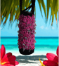 Hand Crochet Water Bottle Holder Crossbody Water Bottle Carrier Hot Pink Black
